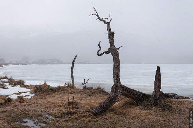 Tierra del Fuego