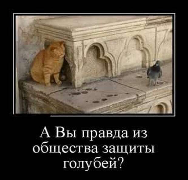 Прикольные демотиваторы с надписями. Подборка chert-poberi-dem-chert-poberi-dem-01090416012021-1 картинка chert-poberi-dem-01090416012021-1
