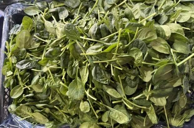 Более 80 тонн узбекской зелени прибыло в Тюменскую область