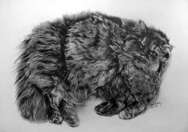 Рисунки карандашом