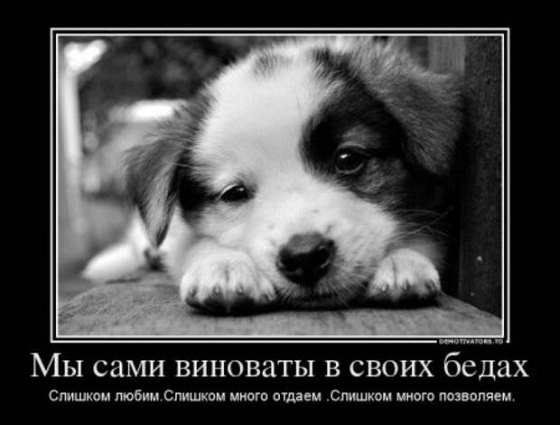 Демотиваторы на тему - Наши чувства.