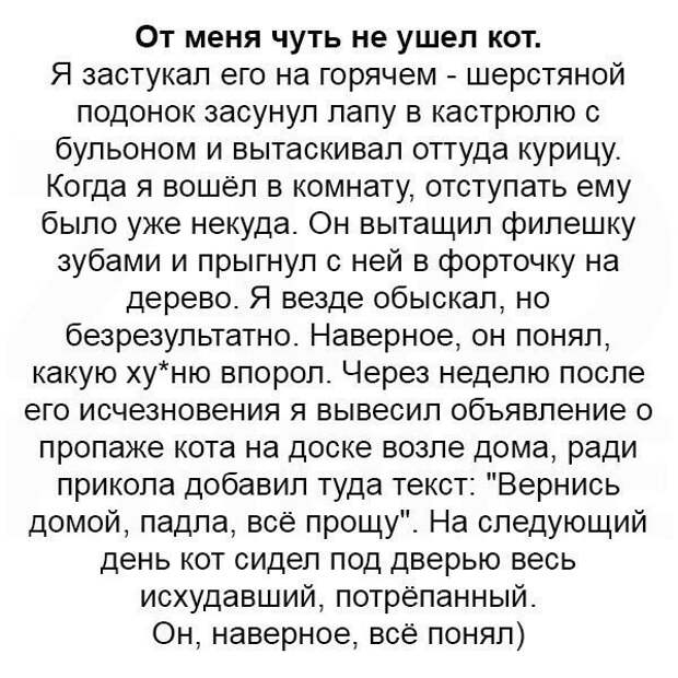 Подборка смешных и жизненных историй