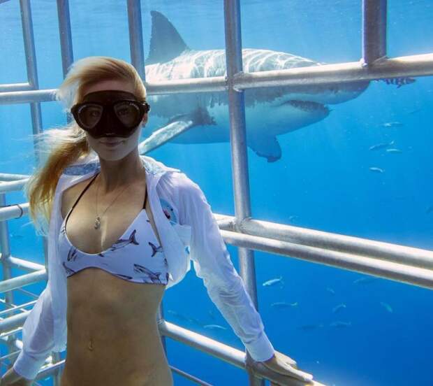 Фотография: Красавица и чудовища: смелая модель с Гавайев спасает белых акул №4 - BigPicture.ru
