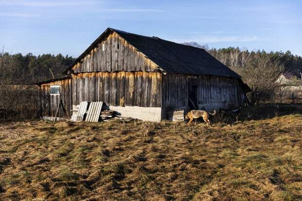 Что с мая ждёт бани и сараи, которые стоят на дачных участках