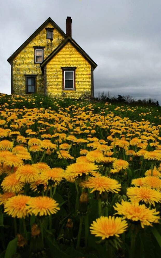 Дом в Новой Шотландии, Канада