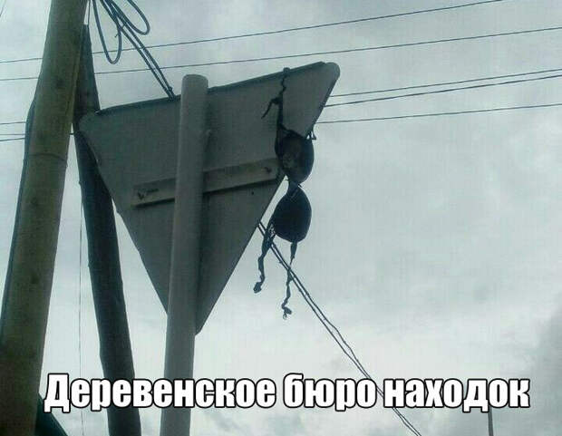 Картинки, юмор, приколы
