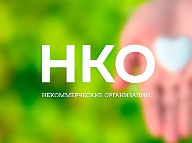 Эксперт объяснил, для чего нужен контроль за иностранным финансированием НКО