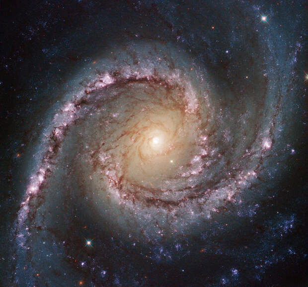 Галактика NGC 1566