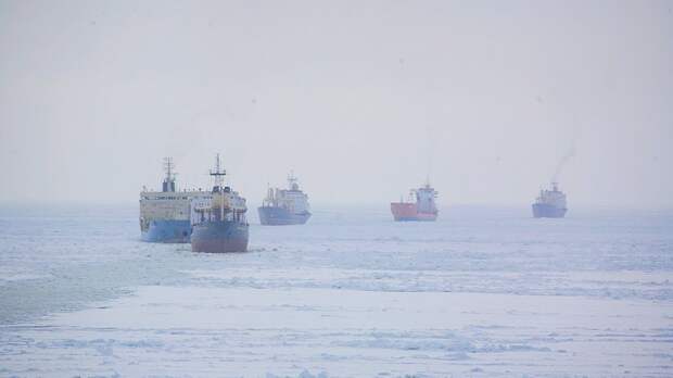 Норвегия планирует провести проверку Северного морского пути Норвегия планирует провести проверку Северного морского пути