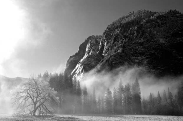 Фотоконкурс National Geographic 2014 года (30 фото)