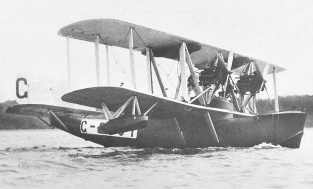 swan-1.jpg