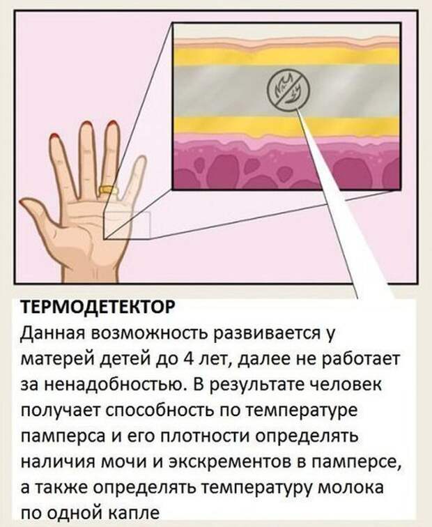 Органы, о существовании которых вы не знали.