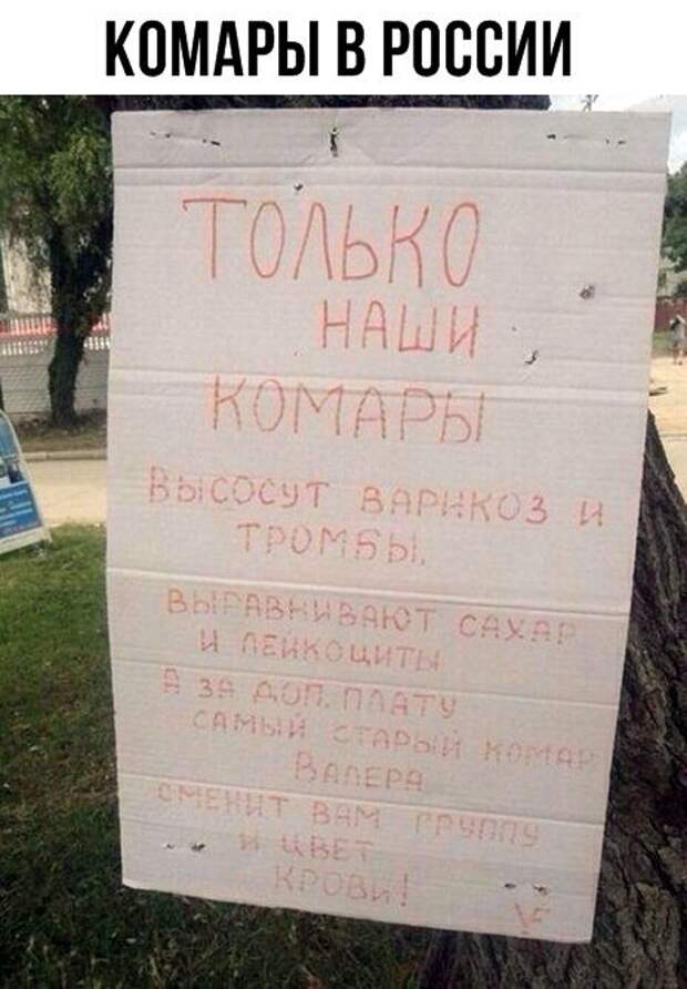 Подборка картинок. Вечерний выпуск (20 фото)