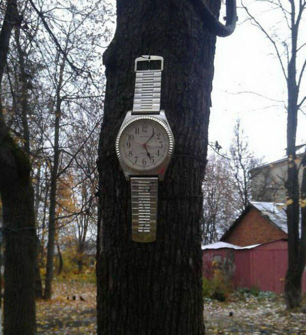 Щедрое пожертвование. Щедрое пожертвование.