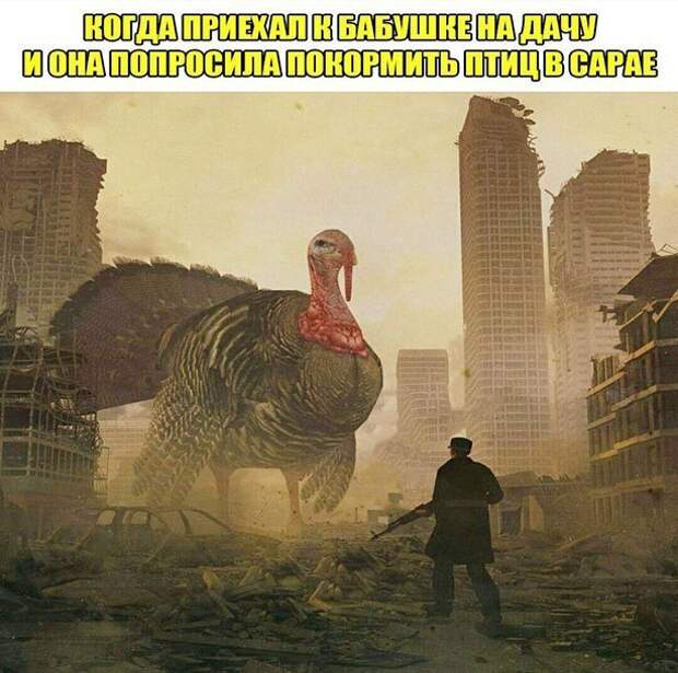 Когда приехал к бабушке Когда приехал к бабушке