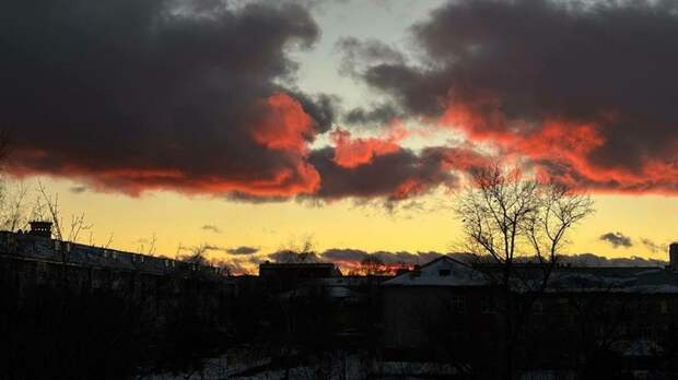 Такой день. Штраф пилоту вертолета, севшего у Белухи, и сразу пять случаев бешенства