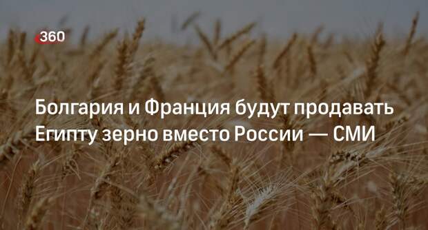 Bloomberg: Египет будет закупать зерно у Франции и Болгарии вместо России