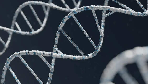 Госдума приняла закон об обязательной геномной регистрации силовиков