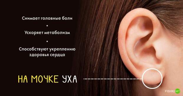 10 секретных точек на теле, благодаря которым можно использовать организм на все 100% долголетие, массаж, тело, точки на теле