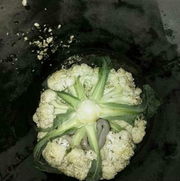 Неприятности случаются