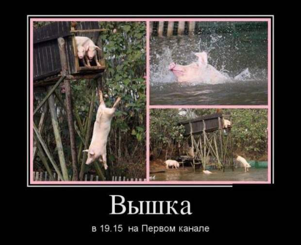 Подборка веселых и позитивных демотиваторов