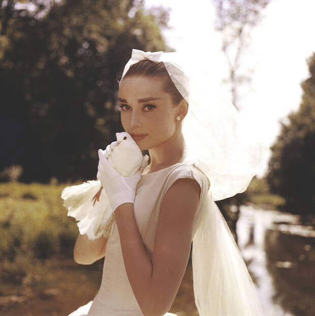 Одри Хепберн и птицы: голубь / Audrey Hepburn and birds: pigeon. Photo 
