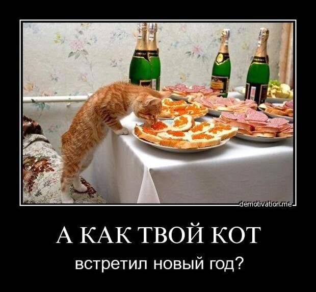 Всяко - разно 6  )))