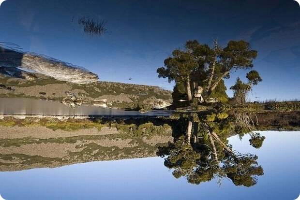 Невероятные отражения в воде (60 фото)