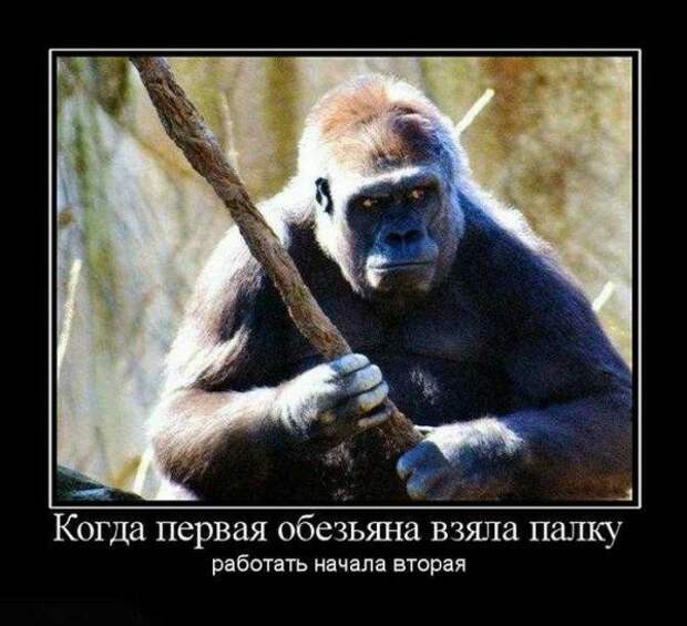 Всё в кучу 30