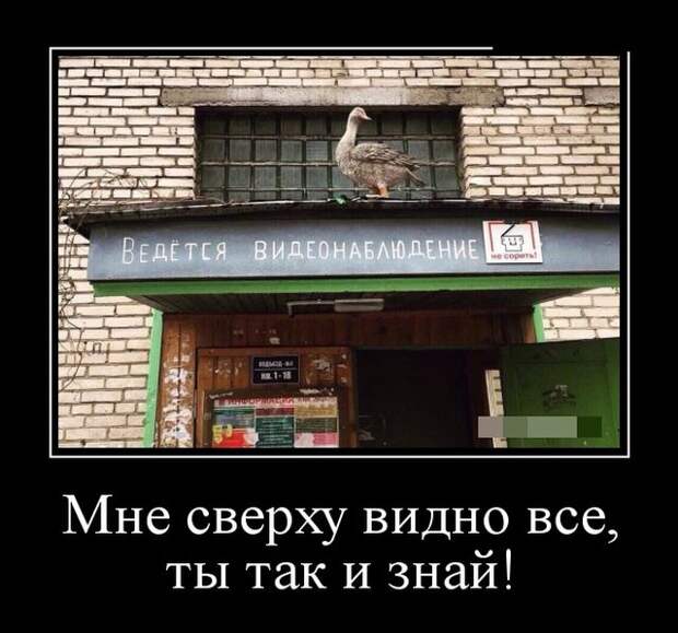 Демотиваторы (30 фото)