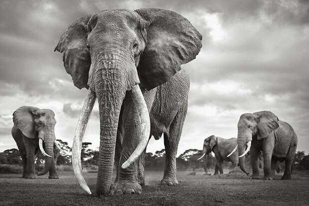 Andrew Doggett