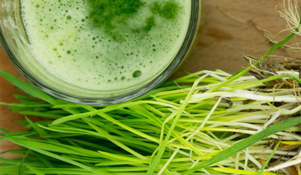 Травы от зубной боли: методы и способы лечения в домашних условиях, отзывы и советы