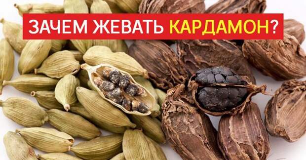Польза кардамона Польза кардамона