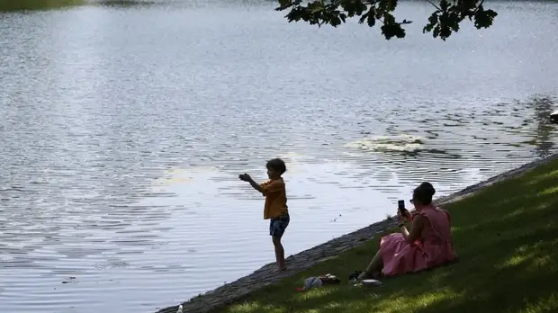 Алименты получают около 100 тысяч российских детей