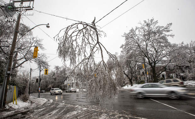 Канада. Торонто, Онтарио. 22 декабря. Сломанная ветвь, висящая прямо на проводах над проезжей частью. (REUTERS/Mark Blinch)