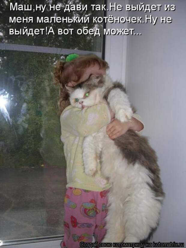 Лучшие котоматрицы недели (50 фото)
