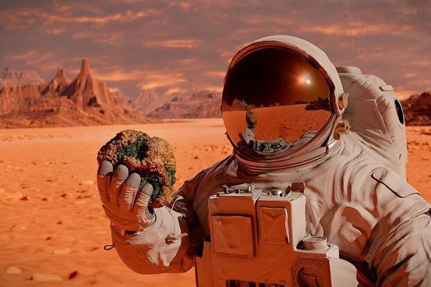 https://www.kaleidoscopelive.ru/planeta/nasa_planiruet_ispol_zovat_uvelichennye_varianty_apparatov_moxie_v_hode_pilotiruemyh_missij/