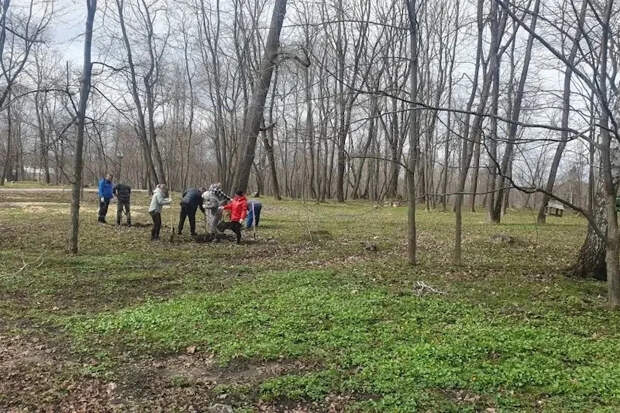 В Богородицком дворце-музее обновляют старый парк