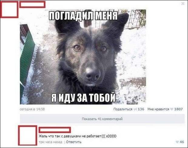 Забавные комментарии из социальных сетей Забавные комментарии из социальных сетей