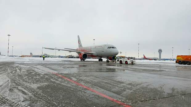 В Петербурге Пулково возобновил штатную работу после снегопада