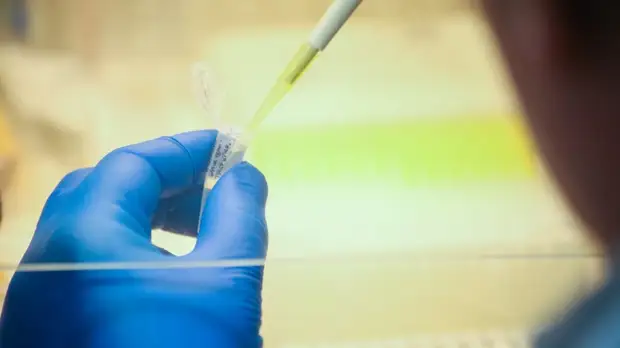 В Бурятии выявили первые два случая заражения коронавирусом