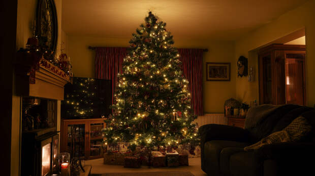 Новый год без раздражения: названы безопасные для аллергиков искусственные ели