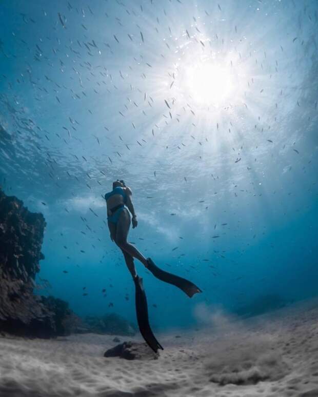 Удивительные фотографии, которые были сняты под водой красивые фотографии, под водой, подводные фотографии, подводный мир