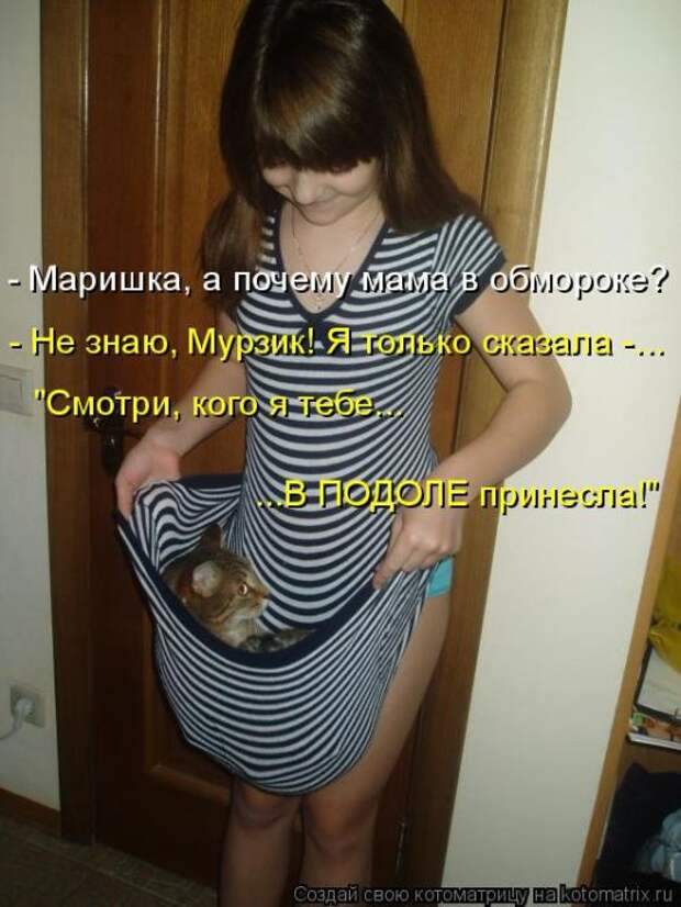 Лучшие котоматрицы недели (50 фото)