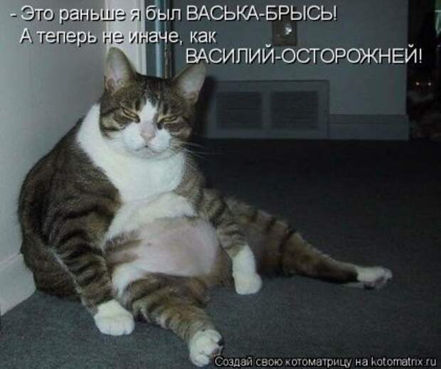 Котоматрица