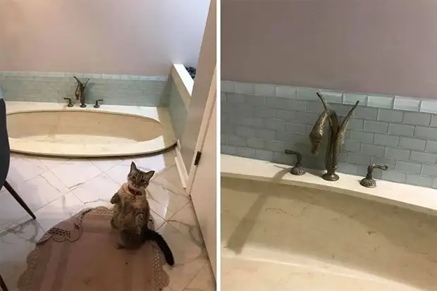 30 ванных комнат со странным и креативным дизайном