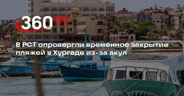 В РСТ опровергли временное закрытие пляжей в Хургаде из-за акул
