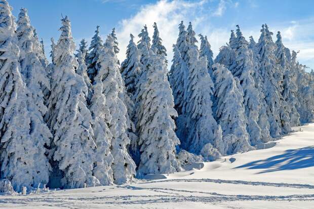 wintry-2993370_1920 alt