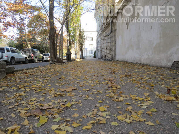 опавшие листья в Севастополе