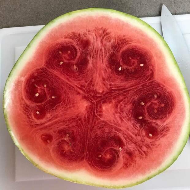 Впечатляющие снимки диковинной еды, которую даже жалко есть